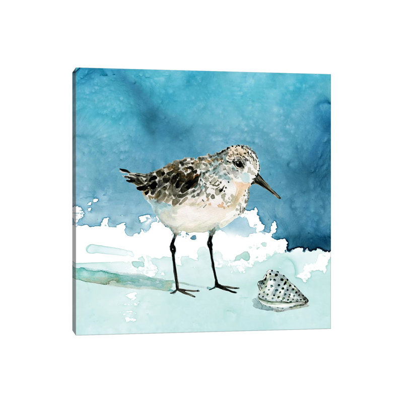 «Delray Sandpiper I» par Carol Robinson - reproduction d'art, H 26 po x l 26 po x P 1,5 po, Toile tendue, Aucun mat