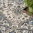 Sherlyn Oriental Machine Woven Polypropylene/Polyester Area Rug-1199438316