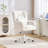 Home Office Computer Chair With 3.9" Height Adjustable, Vanity Chair With 360° Swivel For Makeup Room, Ergonomic Desk Chair With Teddy Fabric For Office-1242593402-1242593401