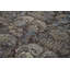 One-of-a-Kind 8' X 10' Area Rug