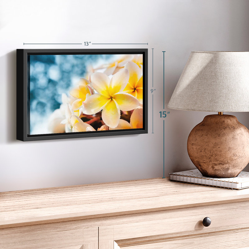 Frangipani Canvas Print, 9" H x 13" W