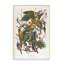 «Classic Carolina Parrot Study», art giclée par one1000paintings-107872911-111767467