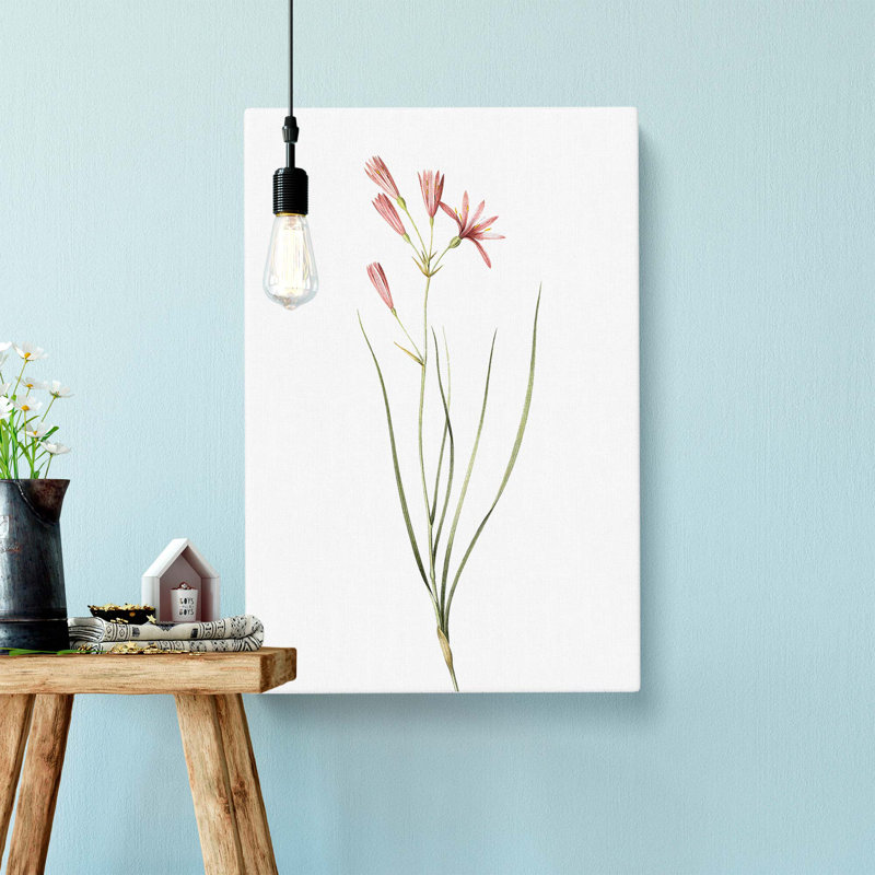 Amaryllis Flowers - Wrapped Canvas Painting, 60cm H x 40cm W x 3cm D