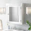Nantwich Removable Medicine Cabinet with Mirrored Door in White