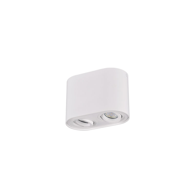 Dewitt LED Flush Mount, Matte White