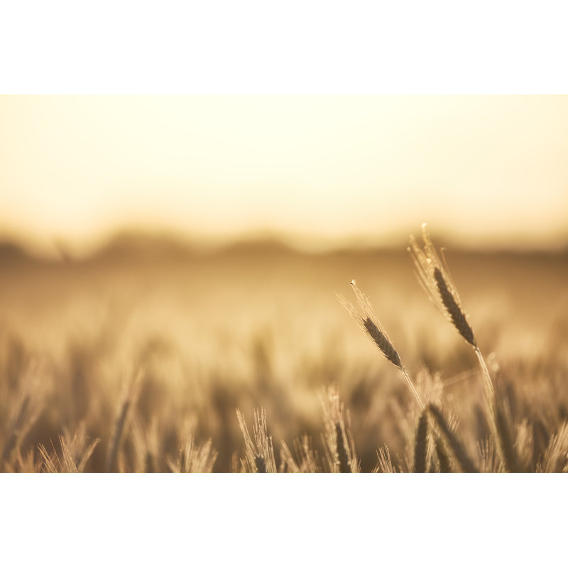Grain by Rike_, 20" H x 30" W