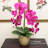 Artificial Phalaenopsis Orchid Stems (Set of 2)-701959269