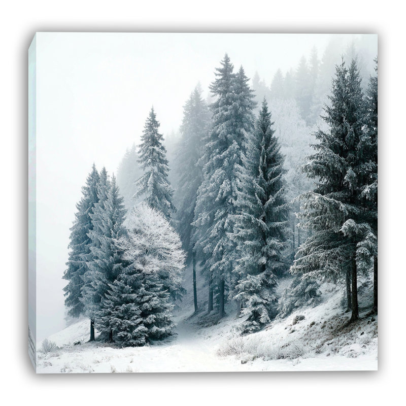 «Snowfall on Evergreen Ridge», art mural sur toile tendue, H 12 po x l 12 po