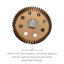 40cm H Wood Novelty Pendant Shade ( Screw On ) in Natural Wood