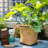 Leopoldo Handmade Pot Planter-1330052775