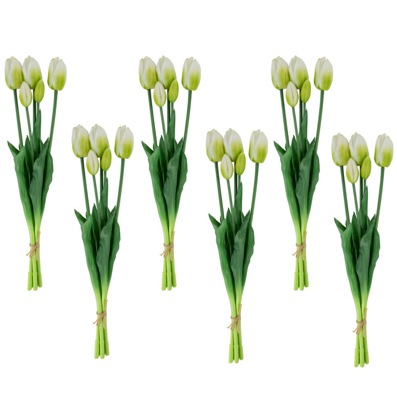 Tulip Arrangement