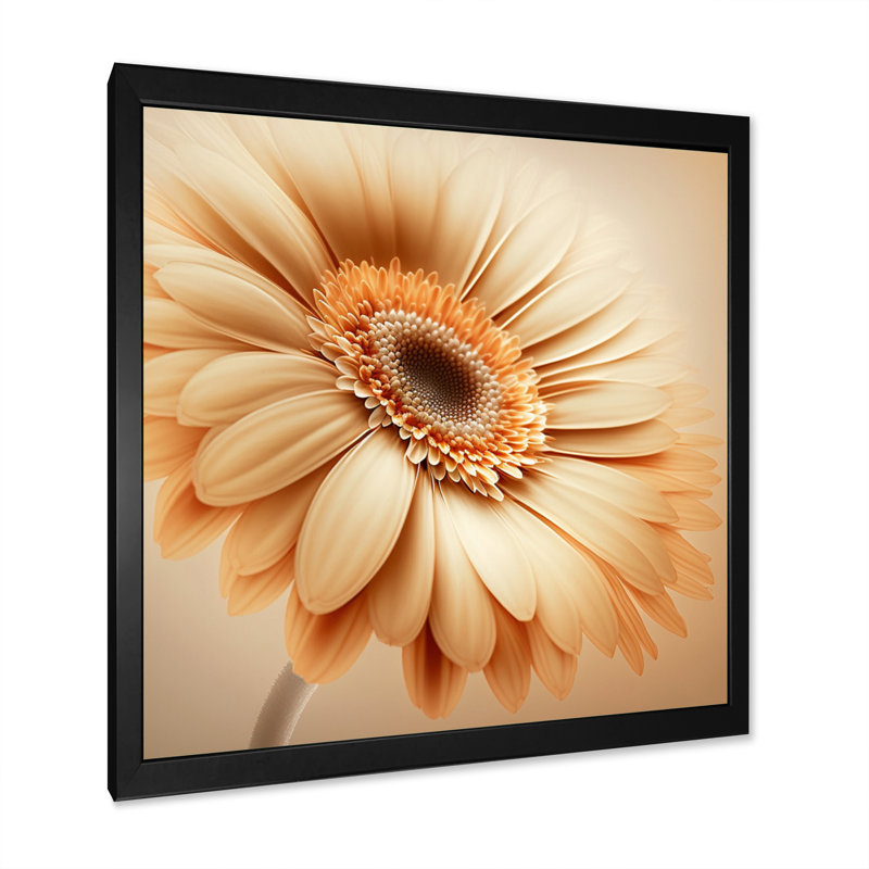 " Orange Gerbera Flower IV ", Black Picture Framed Canvas, 30" H x 30" W x 1" D
