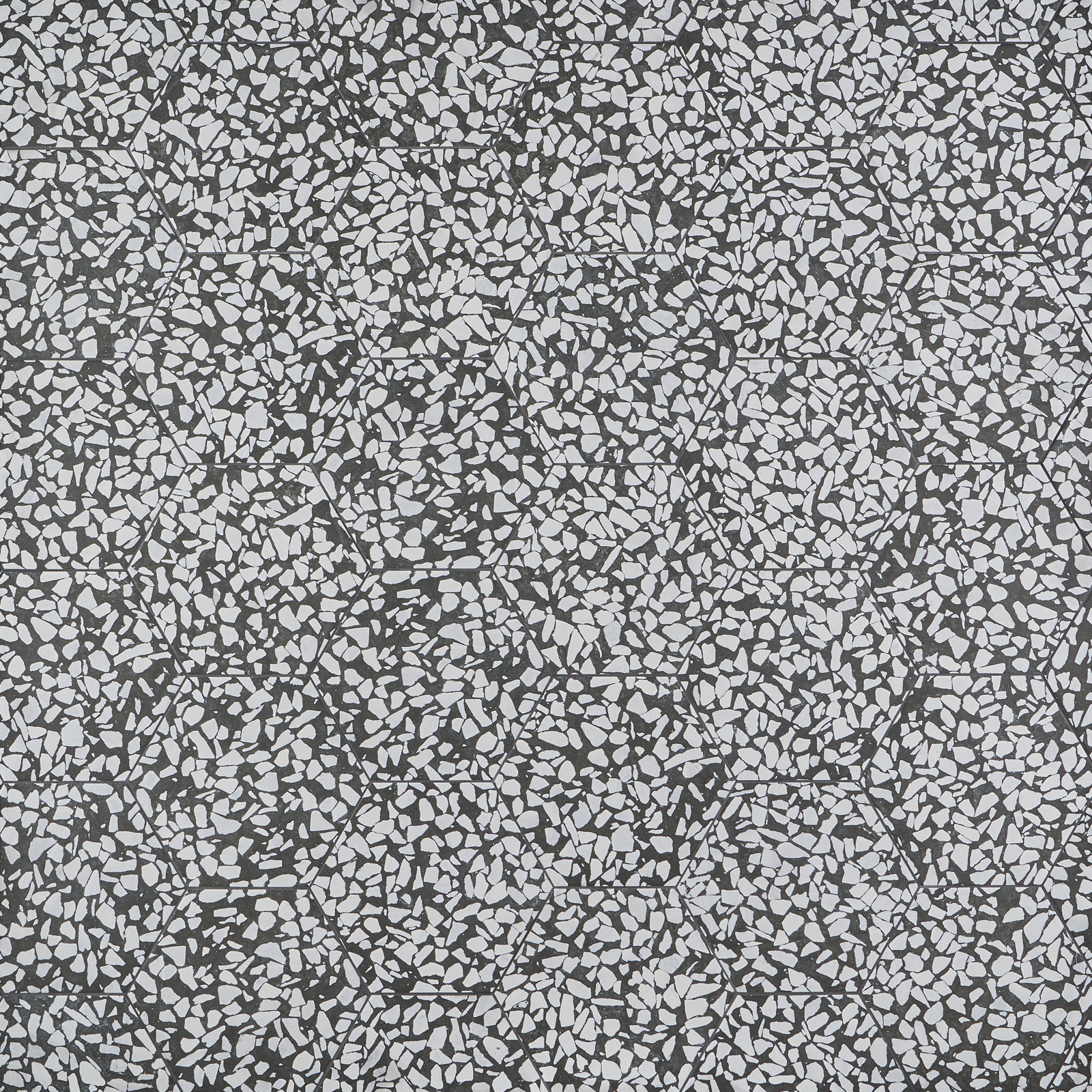 Jurassic Hex 9" Porcelain Tile, Black