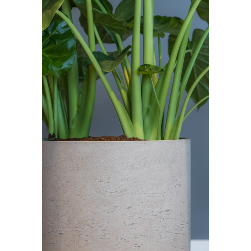 Bohemian Pots Handmade Fiberstone Planter, 7" H x 7" W x 7" D