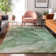 Premium Machine Washable Cerrito AMF607 Green Rug