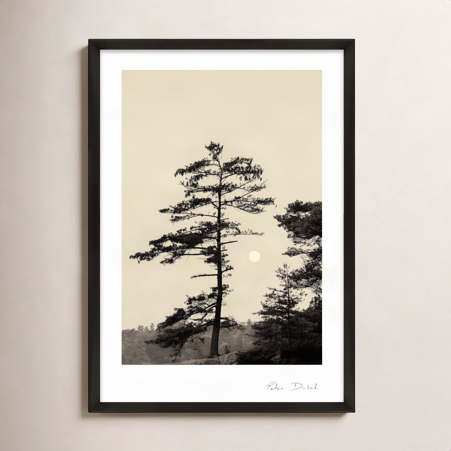 Garden Sign "Serenity" Print by Peter Dušek, 30" H x 21" W x 1.25" D, Black