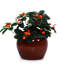 Pot de fleurs orange en céramique de 3, de style moderne pour la terrasse, le jardin, les espaces intérieurs, le gel - et avec un pot de drainage avec divers réglages, chaleur
