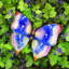 «Garden Butterfly» par Kathleen Parr McKenna - Peinture-1330890699-1294411446-1294411451