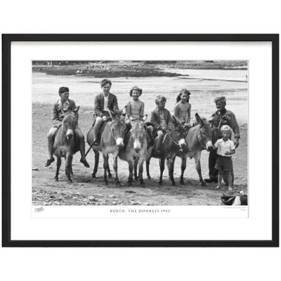 Borth, The Donkeys 1952 by Francis Frith - Single Picture Frame Print
