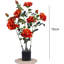27.55cm Plant