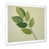 Cadre simple blanc
