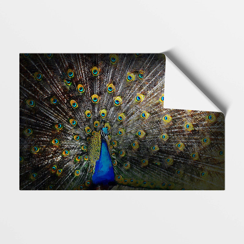 Peacock with Outstretched Feathers - Frameless Print, 59.4 cm H x 84.1 cm W