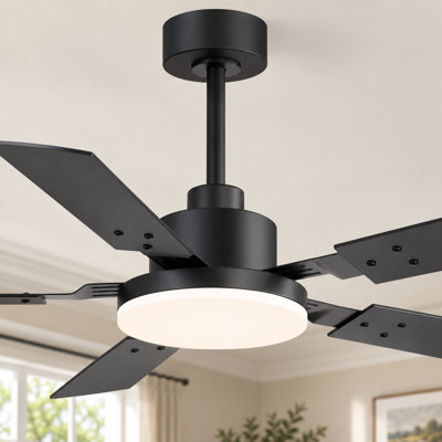 48''/52''/72'' Modern Ceiling Fan with Light, 3CCT LED, Remote Control, 6-Speed Reversible DC Motor, Double-Sided Black/Walnut Blades, Timer, Indoor & Covered Outdoor