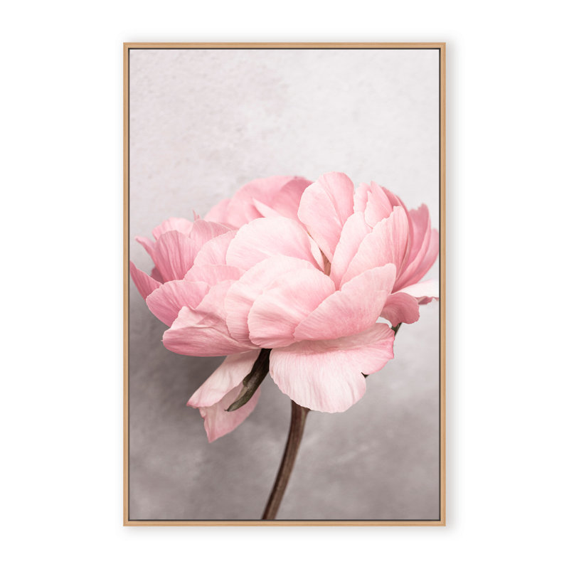 Nature Inspired Peony by  - Picture Frame Photograph on Paper, 48" H x 32" W x 1.125" D, Black, Framed Matted Print