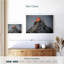 Hannes Zermatt Mountain Glow-106848486