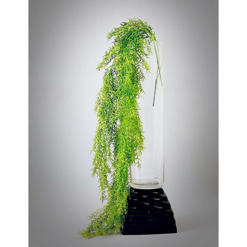 SPRAY D'ASPERGES