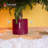 Christmas Live Tree Stand-91465329