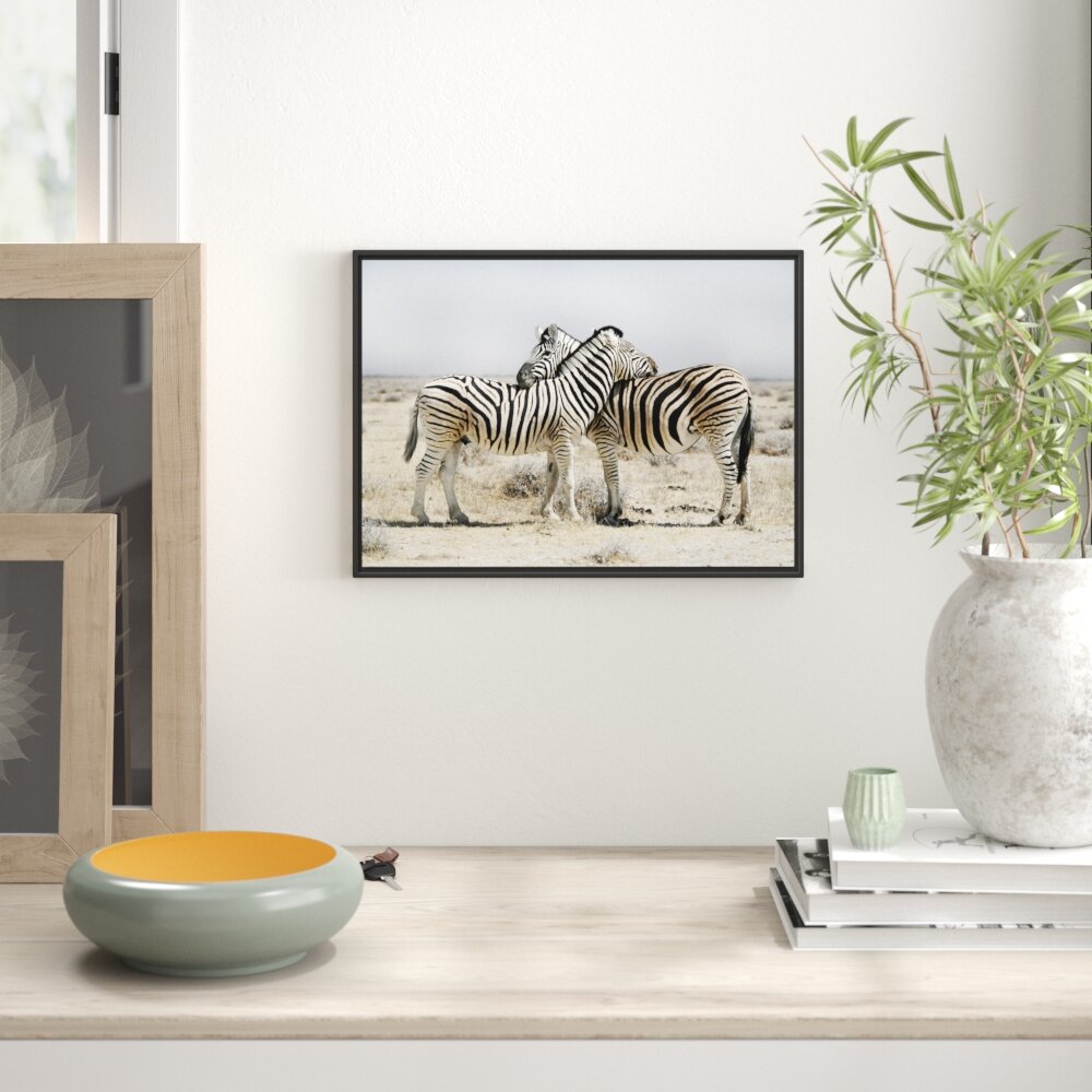 Gerahmtes Wandbild Schmusende Zebras