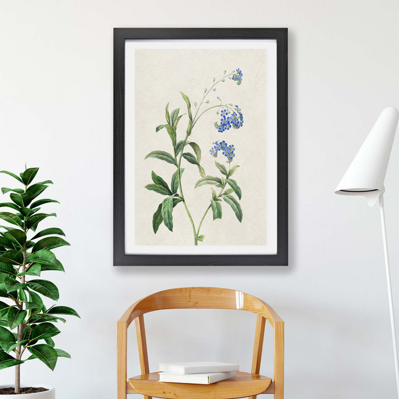 Water Forget-Me-Not Flowers - Framed Print, 33cm H x 45cm W x 2cm D, Black