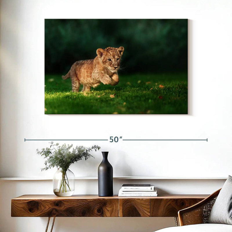 Brampt Frolicking Baby Wild Cat