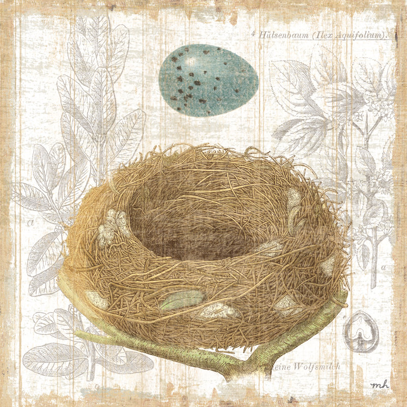 " Botanical Nest III ", 12" H x 12" W x 1.25" D