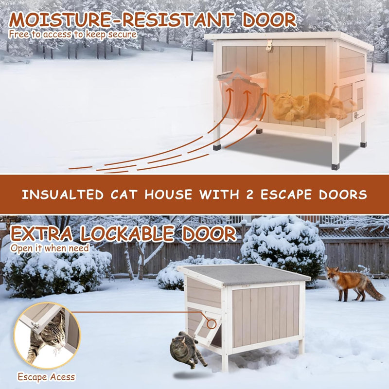 Insulted Cat House