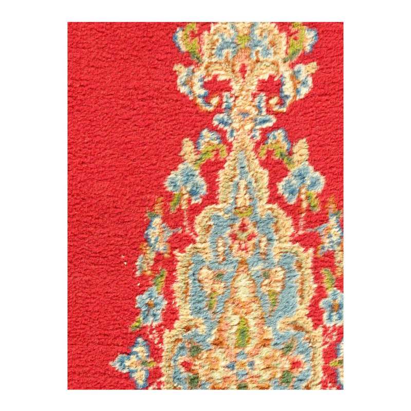 Oriental Area Rug in Red