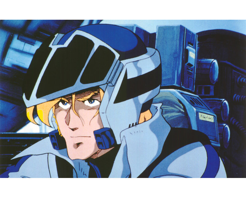 Robotech: Roy Fokker, 15" H x 24" W