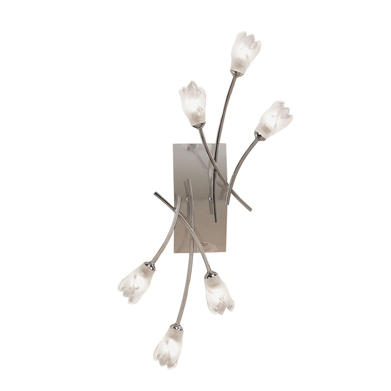 Cottone Wallchiere