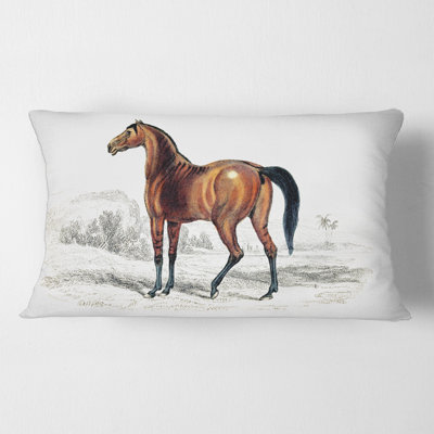 Housse et insert de coussin rectangulaire cheval