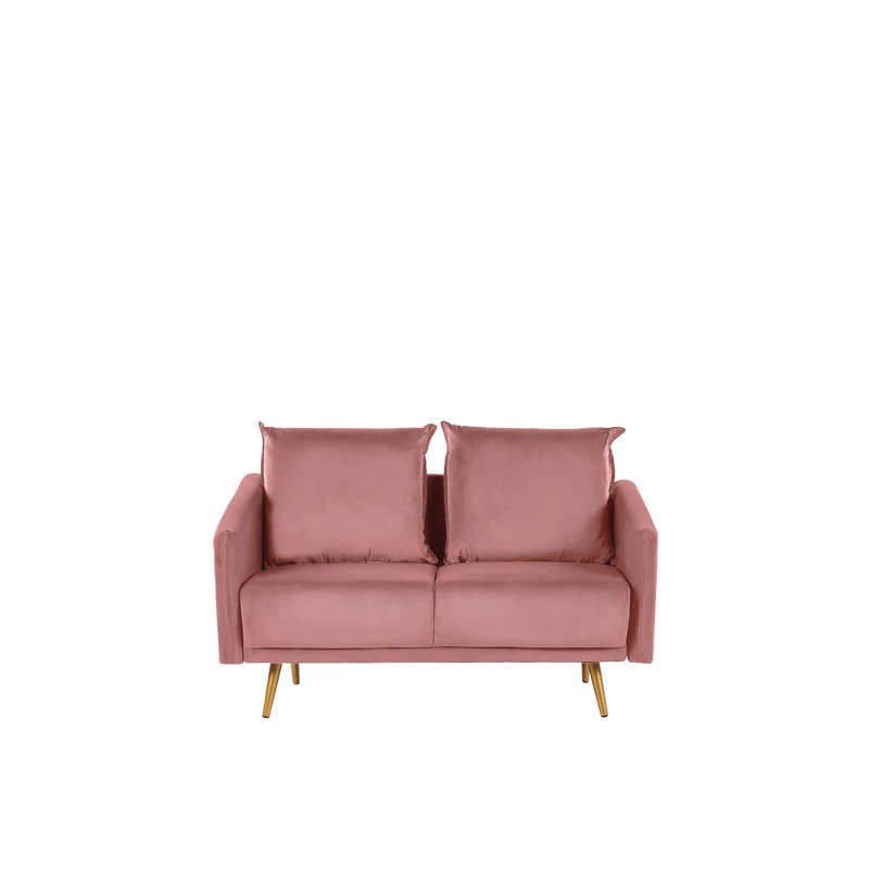 Christy 2 - Piece Velvet Living Room Set, Pink