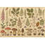 Papier peint texturé en papier parchemin amovible-138610944-138610959