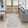 Pritts Washable Oriental Indoor Rug