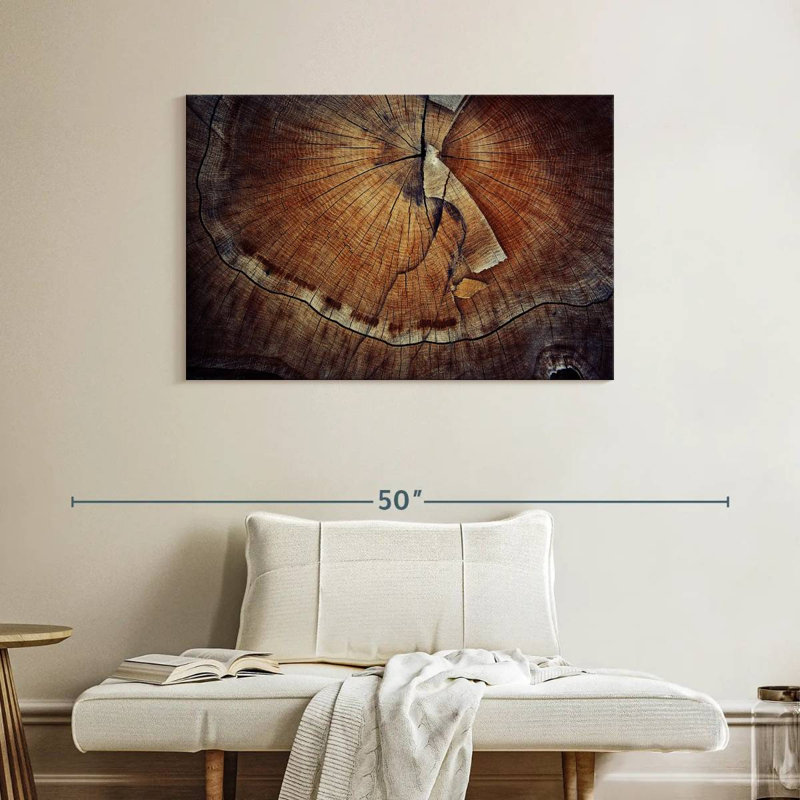 Harnek Tree Ring Texture, 26" H x 39" W
