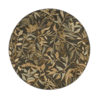 Nature Brown Indoor and Outdoor Area Rug