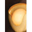 Hina Wall Sconce