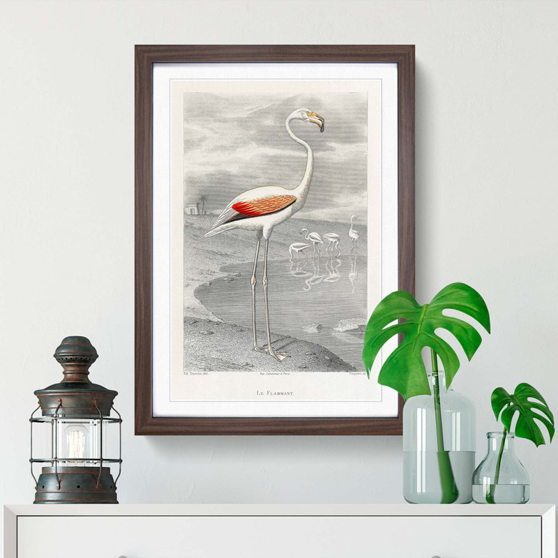 A Flamingo by Edouard Travies - Picture Frame Painting Print, Walnut Framed, 65cm H x 48cm W x 2cm D