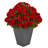 Geranium Artificial Plant in Slate Planter UV Resistant (Indoor/Outdoor)-26209477