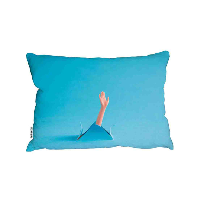 Cushion