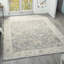 Tapis d'intérieur transitionnel bleu / ivoire Plumerra-129907753